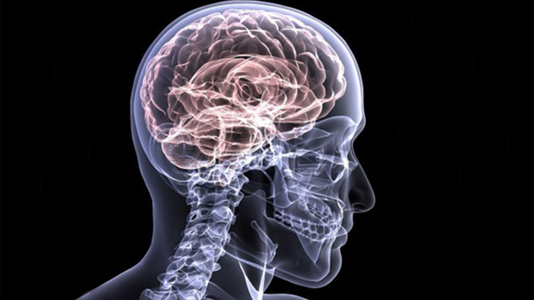 "Population Neuroscience & Dementia" a public conference at the Faculty of Biomedical Sciences